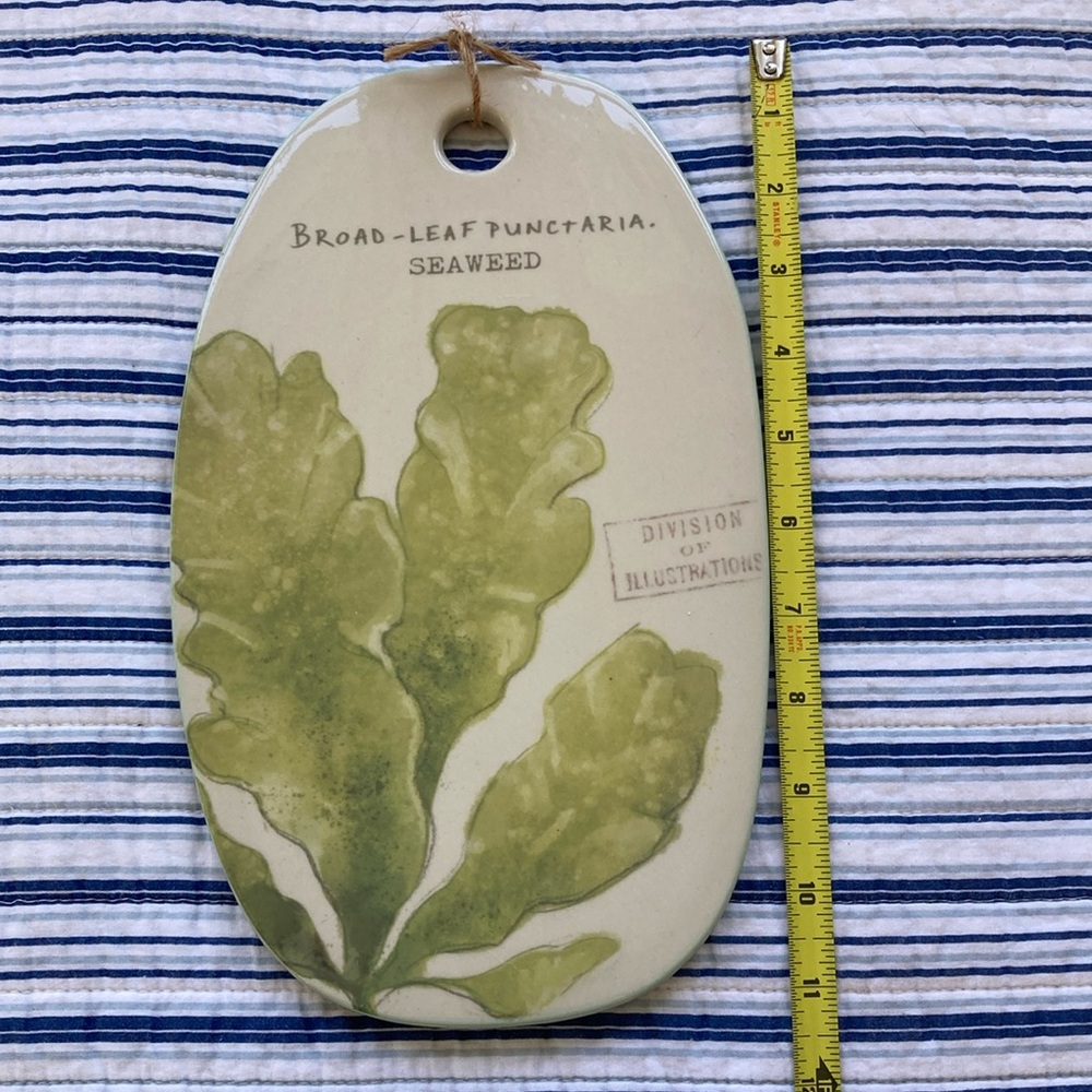 Creative Co-op 11 1/4” stoneware cheeseboard w sea plant